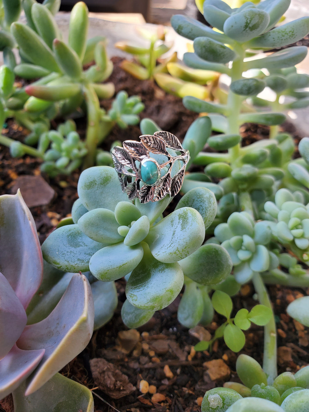 Turquoise Fern Ring