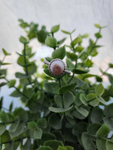 Load image into Gallery viewer, Glam Ring (Edison/Tahitian)